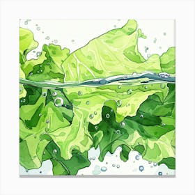 Water Lettuce Illustration Canvas Print