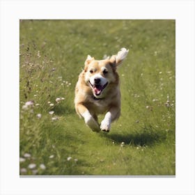 Dog Running In A Field Canvas Print