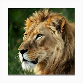 Lion Portrait Canvas Print