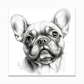 French Bulldog Canvas Print