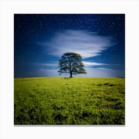 Firefly 8k, Top Quality, Live Action, Center, Night Sky, Darkness, Meadow, Plateau, Single Tree, Sea (3) Canvas Print