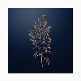 Gold Botanical Madeira Wormwood on Midnight Navy n.4839 Canvas Print