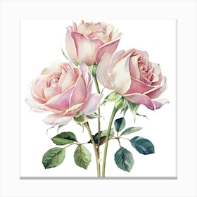 Pink Roses 13 Canvas Print