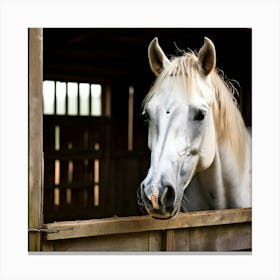 Head Purebred Equestrian Beauty Window Horse Shed Rural Farm Photo Horizontal Mare Hobby (5) Canvas Print