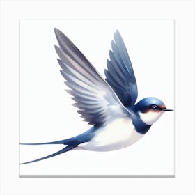 Swallow 3 Canvas Print