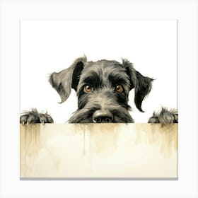 Schnauzer 19 Canvas Print