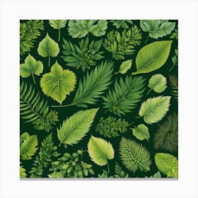 Seamless Pattern With Leaves, Different Types Of Leaves And Their Textures art print Canvas Print