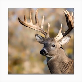 Whitetail Deer 1 Canvas Print