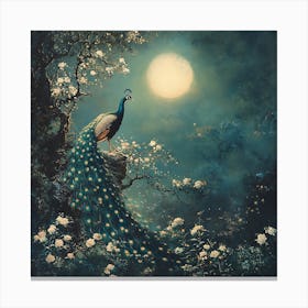 Peacock In The Moonlight 3 Canvas Print