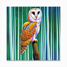 Barn Owl 1 Canvas Print