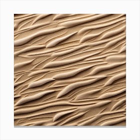 Sand Texture 8 Canvas Print
