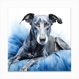 Blue Greyhound on a blue blanket Canvas Print