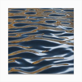 Water Ripples 17 Canvas Print