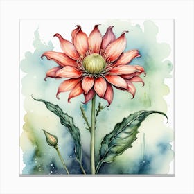 Daisy Canvas Print