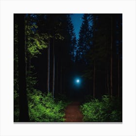 Path Through The Forest At Night Canvas Print