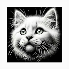 White Cat 3 Canvas Print