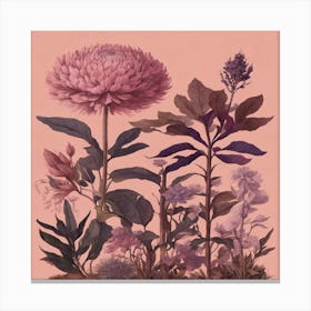 Chrysanthemums 2 Canvas Print