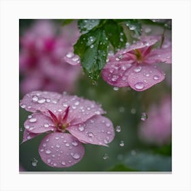 Raindrops On Pink Flowers Canvas Print