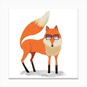 Fox With Glasses Canvas Print