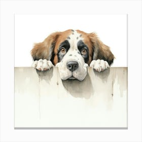 St Bernard Dog 7 Canvas Print