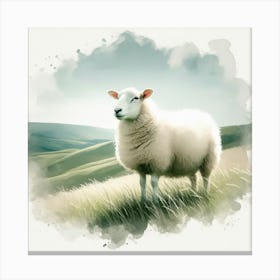Sheep In The Field 3 Canvas Print