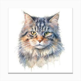 Pallass Cat Portrait Canvas Print