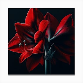 "Midnight Blossom"  A striking red amaryllis blooms against a stark black backdrop, its petals a vivid dance of shadow and ruby light. This digital artwork captures the essence of nature's drama, its colors a bold statement of beauty in the darkness.  Discover the allure of 'Midnight Blossom', where the captivating beauty of a red amaryllis is rendered with exquisite detail, creating an elegant piece perfect for adding a touch of sophistication to any space. Canvas Print