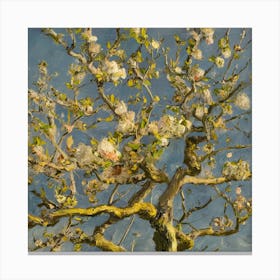 Blossoming Apple Tree Canvas Print