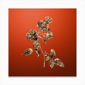 Gold Botanical Red Cabbage Rose in Bloom on Tomato Red Canvas Print