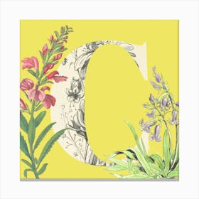 Botanical C Canvas Print