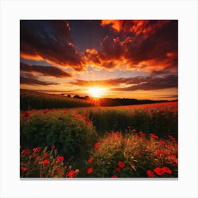 Sunset Over A Field Of Poppies 1 Canvas Print