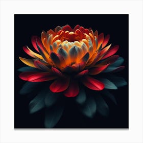 The Fiery Flower 1 Canvas Print