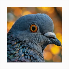 Pigeon 3 Canvas Print