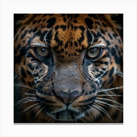 Jaguar Canvas Print