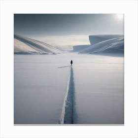 Pathways in snow Canvas Print