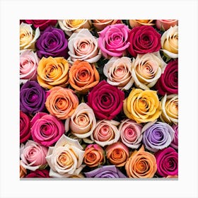 All Roses Colors Flat As Background (10) Canvas Print