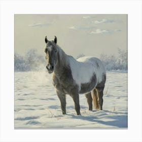 Horse In The Snow 11 Canvas Print