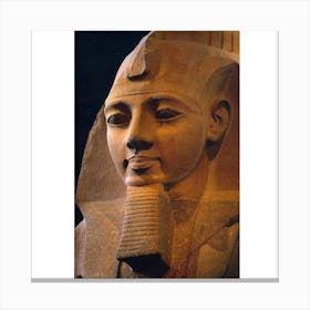 Pharaonic effect Canvas Print