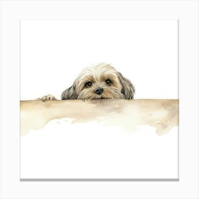 Shih Tzu Dog 1 Canvas Print