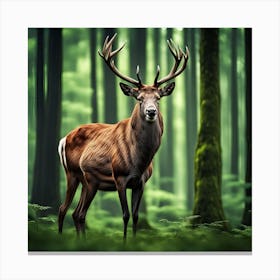 Deer In The Forest 1 Canvas Print