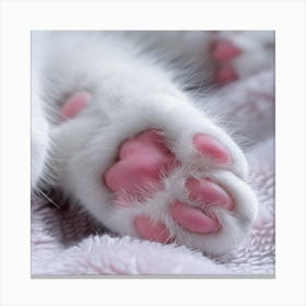 Cute Kitten Paws Canvas Print