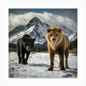 Lion And Bear Canvas Print