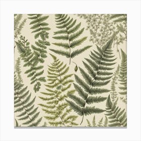 Ferns 8 Canvas Print