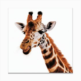 Giraffe 2 Canvas Print