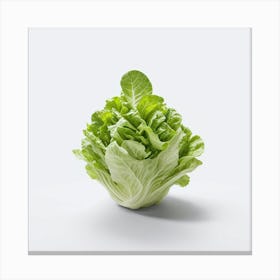 Lettuce Canvas Print