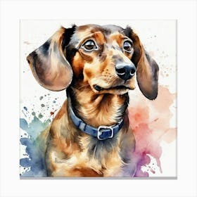 Dachshund Canvas Print