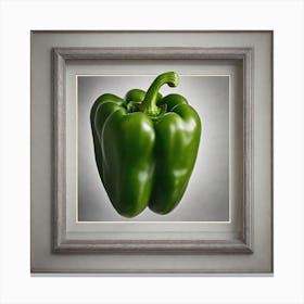 Green Pepper Canvas Print