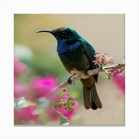 Hummingbird 4 Canvas Print