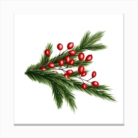 Fir Branches And Lingonberry Canvas Print