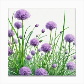 Chrysanthemums 2 Canvas Print